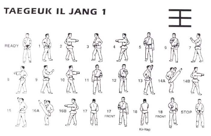 Taekwondo kicks techniques pdf 2017